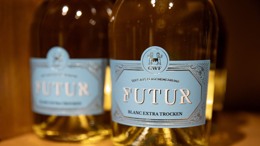 Pilzwiderstandsfähige Rebsorten