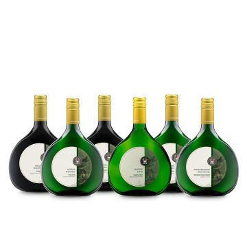 Best of SteigerwaldVinothek