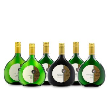 Best of Winzerkeller Stetten