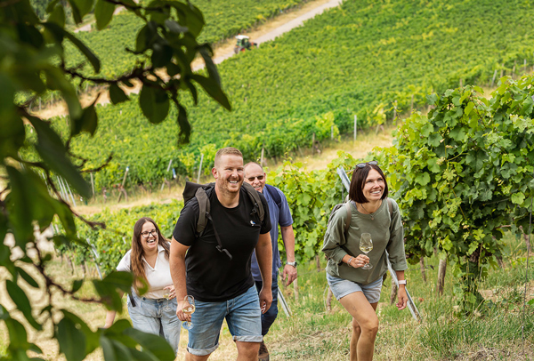 Weinlagenwanderung Stetten Weinlagenwanderung Stetten