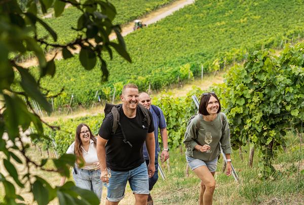 Weinlagenwanderung Stetten