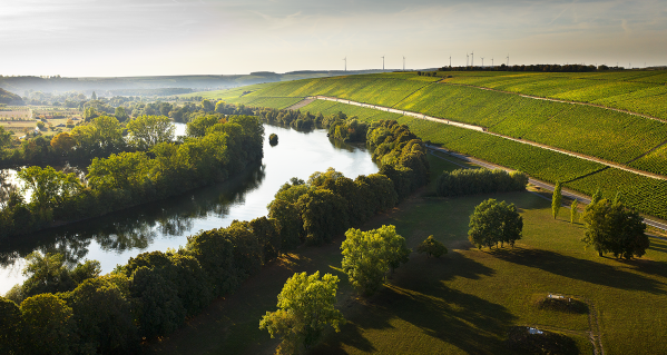 Genießerradltour an der Mainschleife - 07.05.25