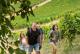 Weinlagenwanderung Stetten