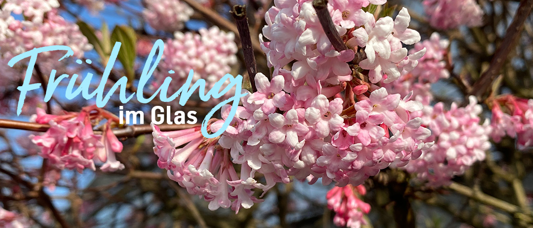 Entdecken Sie unsere zahlreichen Angebote!