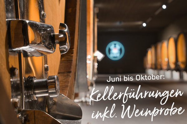 Kellerführungen mit Weinprobe – von Juni bis Oktober in Kitzingen erleben
