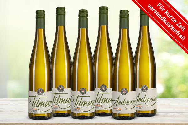 PiWi-Probierpaket – unsere drei neuen Rebsorten. Jetzt versandkostenfrei sichern!