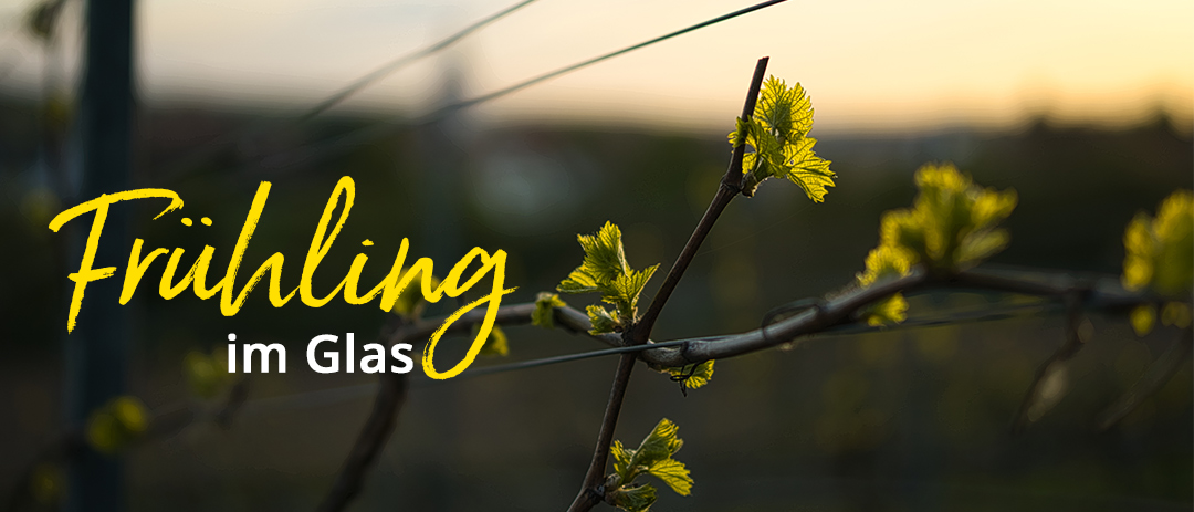 Alkoholfrei! Jetzt noch besser - Hier Mehr erfahren