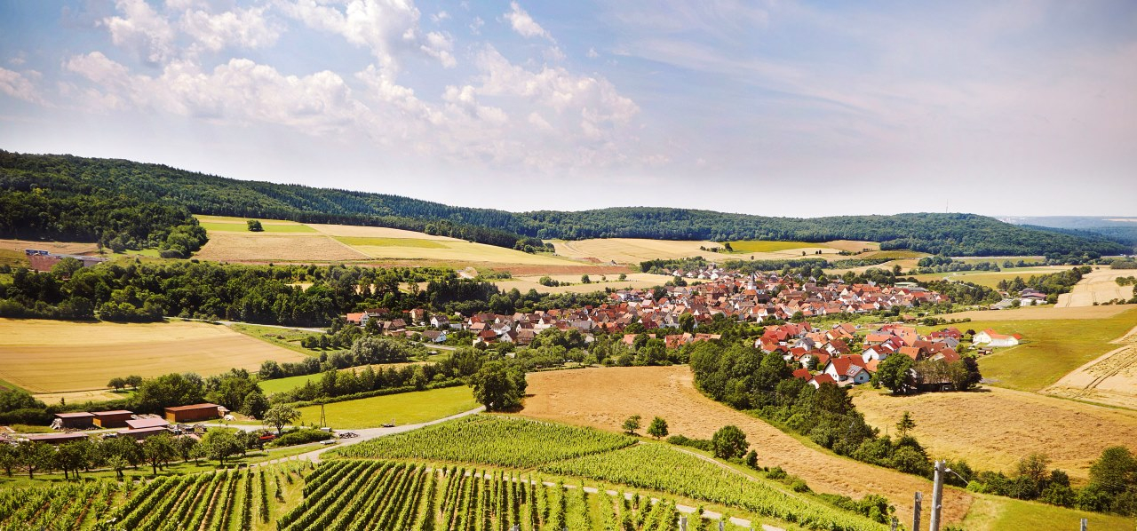 Blick von den Weinbergen auf das Weinörtchen Reicholzheim im lieblichen Taubertal.